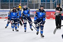 Eishockey, U20, DNL, Saison 2024-2025, ERC Ingolstadt - Krefelder EV 81, 01.03.2025