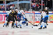 Eishockey, Herren, DEL, Saison 2024-2025, Playoffs Viertelfinale, Spiel 1, Nürnberg Ice Tigers - ERC Ingolstadt, 18.03.2025