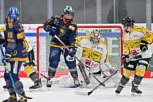 Eishockey, Frauen, DFEL, Saison 2022-2023, ERC Ingolstadt - Mad Dogs Mannheim, 19.11.2022