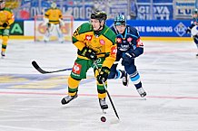 Hockey, Mens, CHL, Season 2025-2026, Regular Season, Game Day 1, ERC Ingolstadt - Ilves Tampere, 28.08.2025