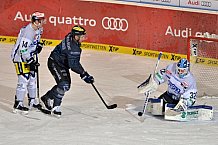 ERC Ingolstadt vs Schwenninger Wild Wings, Eishockey, DEL, Deutsche Eishockey Liga, 22.01.2016