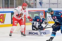 Hockey, Mens, CHL, Season 2025-2026, Regular Season, Game Day 6, ERC Ingolstadt - Odense Bulldogs, 15.10.2025