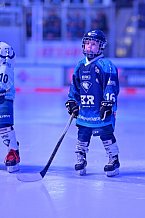Eishockey, Herren, DEL, Saison 2026-2027, Spieltag 2, ERC Ingolstadt - Nürnberg Ice Tigers, 20.09.2026