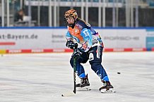 Eishockey, Frauen, DFEL, Saison 2024-2025, ERC Ingolstadt - ECDC Memmingen Indians, 16.11.2024