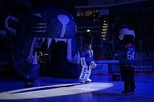 Eishockey, Herren, DEL, Saison 2026-2027, Spieltag 8, ERC Ingolstadt - Löwen Frankfurt, 11.10.2026