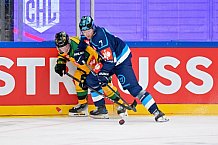Hockey, Mens, CHL, Season 2025-2026, Regular Season, Game Day 1, ERC Ingolstadt - Ilves Tampere, 28.08.2025