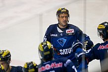 ERC Ingolstadt  - Grizzlys Wolfsburg, Eishockey, DEL, Deutsche Eishockey Liga, Spieltag 42, 31.01.2016