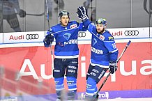 ERC Ingolstadt vs Schwenninger Wild Wings, Eishockey, DEL, Deutsche Eishockey Liga, Spieltag 25, 26.11.2017
