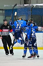 Eishockey, Frauen, DFEL, Saison 2023-2024, ERC Ingolstadt - ECDC Memmingen Indians, 21.01.2024