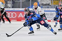 Eishockey, Herren, DEL, Saison 2023-2024, Spieltag 45, ERC Ingolstadt - Fischtown Pinguins, 27.02.2024