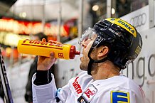ERC Ingolstadt vs Hamburg Freezers, Eishockey, DEL, Deutsche Eishockey Liga, Spieltag 43, 05.02.2016, 
