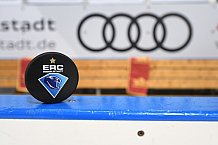 ERC Ingolstadt vs Adler Mannheim, Eishockey, DEL, Deutsche Eishockey Liga, Spieltag 46, 10.02.2017