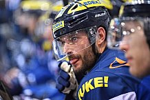 ERC Ingolstadt vs Adler Mannheim, Eishockey, DEL, Deutsche Eishockey Liga, Spieltag 46, 10.02.2017