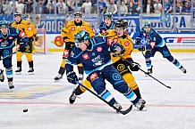 Hockey, Mens, CHL, Season 2025-2026, Regular Season, Game Day 2, ERC Ingolstadt - Kalpa Kuopio, 30.08.2025