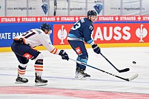 Eishockey, Mens, CHL, Season 2023-2024, ERC Ingolstadt - Växjö Lakers, 14.11.2023