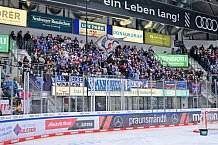 Eishockey, Herren, DEL, Saison 2024-2025, Spieltag 17, ERC Ingolstadt - Adler Mannheim, 17.11.2024