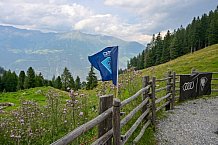 Eishockey, Herren, DEL, Saison 2023-2024, Vinschgau Cup, ERC Ingolstadt – Audi Almerlebnis, 26.08.2023