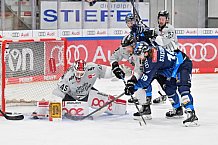 Eishockey, Herren, DEL, Saison 2024-2025, Spieltag 36, ERC Ingolstadt - Kölner Haie, 12.01.2025