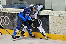 Eishockey, Herren, DEL, Saison 2024-2025, EHC Olten - ERC Ingolstadt, 25.08.2024