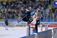 Eishockey, Herren, DEL, Saison 2025-2026, Spiel 16, ERC Ingolstadt - Kölner Haie, 31.10.2025