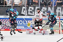 Eishockey, Herren, DEL, Saison 2026-2027, Spieltag 6, ERC Ingolstadt - Kölner Haie, 04.10.2026
