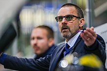 ERC Ingolstadt - Duesseldorfer EG, Eishockey, DEL, Deutsche Eishockey Liga, Spieltag 19, 18.11.2016
