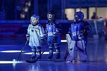Eishockey, Herren, DEL, Saison 2024-2025, Spieltag 14, ERC Ingolstadt - Löwen Frankfurt, 31.10.2024