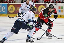 Koelner Haie - ERC Ingolstadt, Eishockey, Herren, Maenner, DEL, Spieltag 13, 23.10.2015