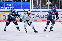 Eishockey, Herren, DEL, Saison 2025-2026, Spiel 44, ERC Ingolstadt - Dresdner Eislöwen, 27.01.2026