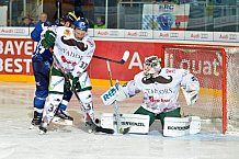 ERC Ingolstadt vs Augsburger Panther, Eishockey, DEL, Deutsche Eishockey Liga, Spieltag 21, 23.11.2016