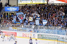 ERC Ingolstadt - Krefeld Pinguine, Eishockey, DEL, Deutsche Eishockey Liga, Spieltag 35, 05.01.2017, Foto: Eibner / Oliver STRISCH