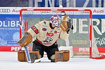 Eishockey, Herren, DEL, Saison 2024-2025, Spieltag 38, ERC Ingolstadt - Nürnberg Ice Tigers, 19.01.2025