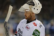 ERC Ingolstadt - Koelner Haie, Eishockey, DEL, Deutsche Eishockey Liga, Spieltag 22, 25.11.2016, Foto: st-foto.de / Oliver STRISCH