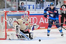 Eishockey, Herren, DEL, Saison 2024-2025, Playoffs Viertelfinale, Spiel 1, ERC Ingolstadt - Nürnberg Ice Tigers, 16.03.2025