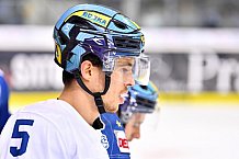 ERC Ingolstadt vs Grizzlys Wolfsburg, Eishockey, DEL, Deutsche Eishockey Liga, Spieltag 12, 13.10.2017