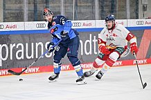 Eishockey, Herren, DEL, Saison 2023-2024, Spieltag 46, ERC Ingolstadt - Düsseldorfer EG, 15.02.2024