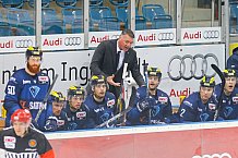 ERC Ingolstadt vs Hamburg Freezers, Eishockey, DEL, Deutsche Eishockey Liga, Spieltag 36, 10.01.2016, Foto: st-foto.de / Oliver STRISCH