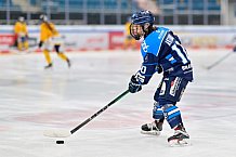 Eishockey, Frauen, DFEL, Saison 2025-2026, Testspiel, ERC Ingolstadt - HC Davos, 14.02.2026