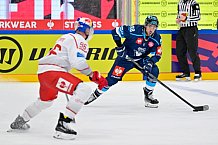 Hockey, Mens, CHL, Season 2025-2026, Regular Season, Round of 16, ERC Ingolstadt - EC Red Bull Salzburg, 12.11.2025