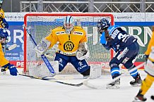 Eishockey, Frauen, DFEL, Saison 2025-2026, Testspiel, ERC Ingolstadt - HC Davos, 14.02.2026