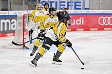 Eishockey, Frauen, DFEL, Saison 2022-2023, ERC Ingolstadt - Mad Dogs Mannheim, 19.11.2022