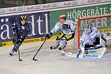 ERC Ingolstadt vs Schwenninger Wild Wings, Eishockey, DEL, Deutsche Eishockey Liga, 22.01.2016