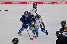 Eishockey, Herren, DEL, Saison 2024-2025, ERC Ingolstadt - Kids On Ice Day, 11.01.2025