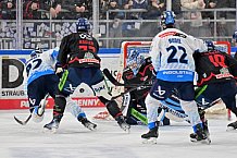 Eishockey, Herren, DEL, Saison 2024-2025, Spieltag 39, Straubing Tigers - ERC Ingolstadt, 24.01.2025