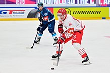Hockey, Mens, CHL, Season 2025-2026, Regular Season, Game Day 6, ERC Ingolstadt - Odense Bulldogs, 15.10.2025