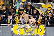ERC Ingolstadt - Krefeld Pinguine, Eishockey, DEL, Deutsche Eishockey Liga, Spieltag 15, 22.10.2017, Foto: OLIVER STRISCH / st-foto.de