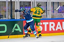 Hockey, Mens, CHL, Season 2025-2026, Regular Season, Game Day 1, ERC Ingolstadt - Ilves Tampere, 28.08.2025