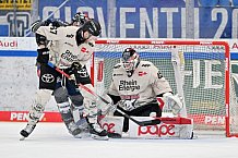 Eishockey, Herren, DEL, Saison 2023-2024, Spieltag 51, ERC Ingolstadt - Kölner Haie, 03.03.2024