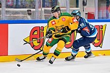 Hockey, Mens, CHL, Season 2025-2026, Regular Season, Game Day 1, ERC Ingolstadt - Ilves Tampere, 28.08.2025