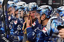 Eishockey, Herren, DEL, Saison 2021-2022, Spieltag 35, ERC Ingolstadt - Bietigheim Steelers, 30.03.2022